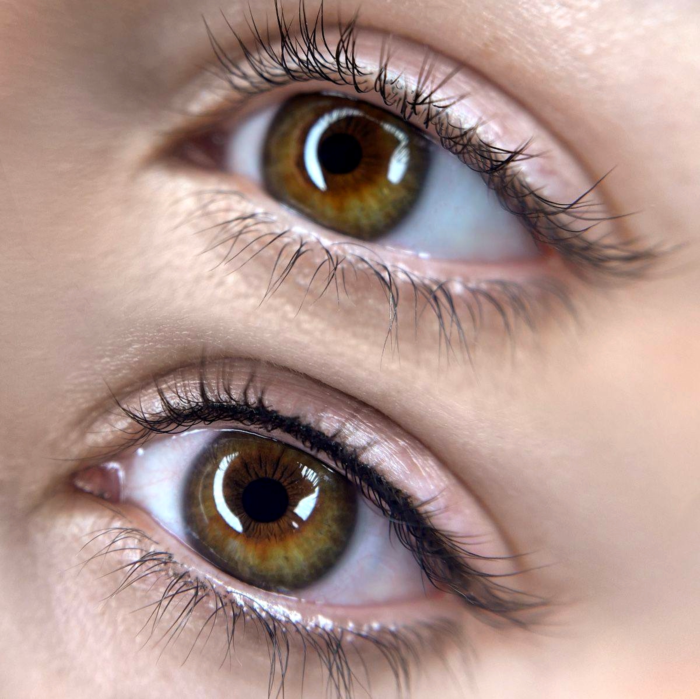 Lash line permanent makeup eyeliner result at SBW Beauty