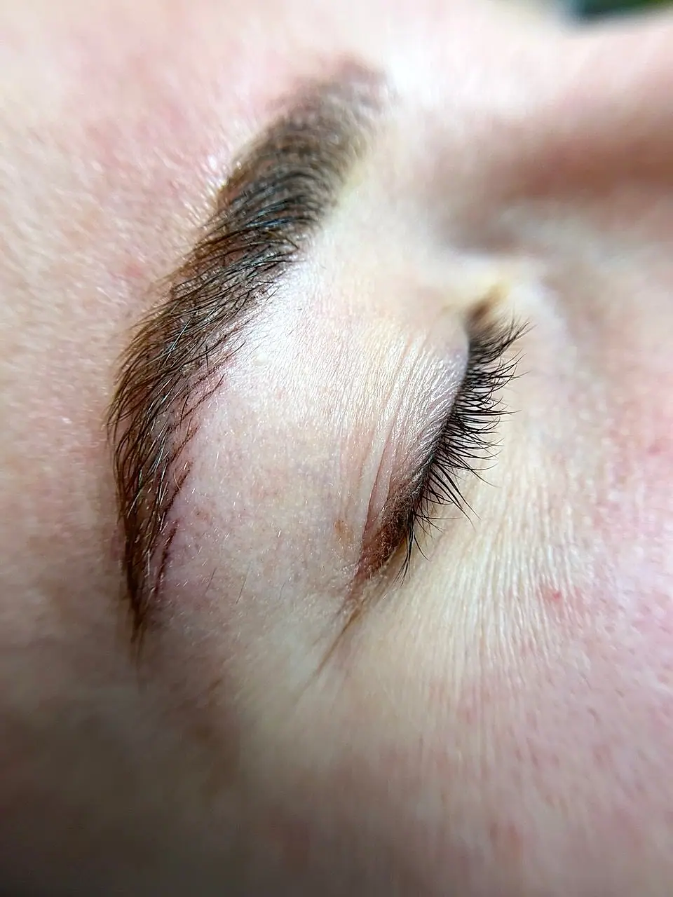 Nano hair strokes brows result at SBW Beauty